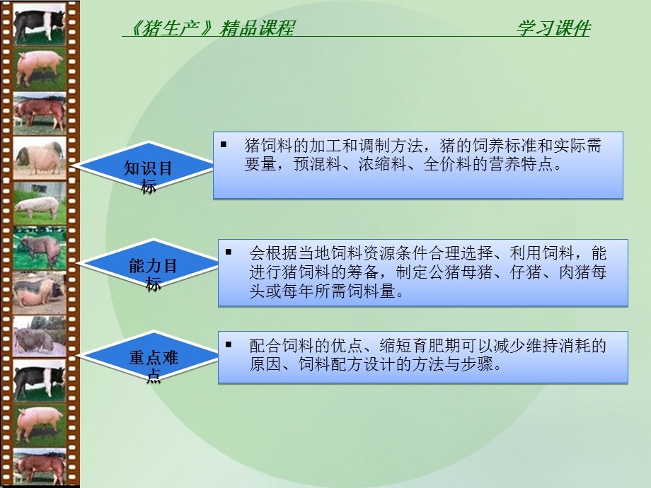 牛羊生产课件.ppt_第2页