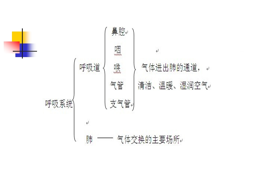 呼吸系统生理及健康评估课件.ppt_第2页