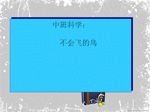 幼儿园中班科学活动《不会飞的鸟》公开课课件.ppt