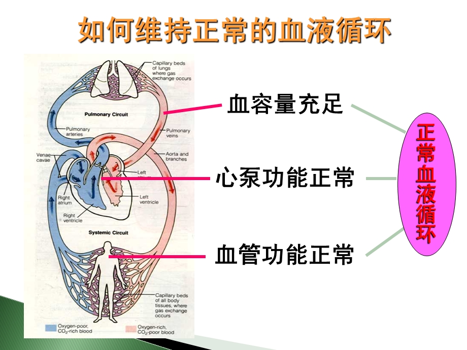 休克患者观察要点课件.ppt_第2页