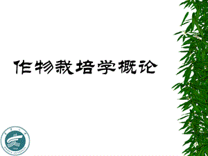 作物栽培学概论课件.ppt