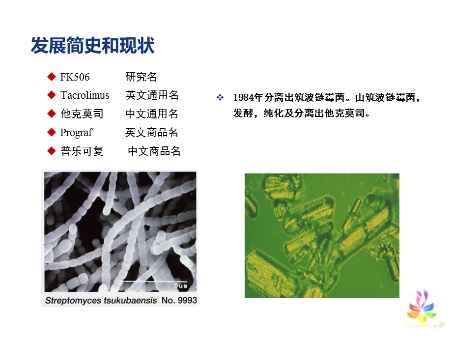 他克莫司(FK506)治疗狼疮性肾炎的循证医学课件.ppt_第3页