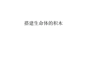 搭建生命体的积木教学文案课件.ppt