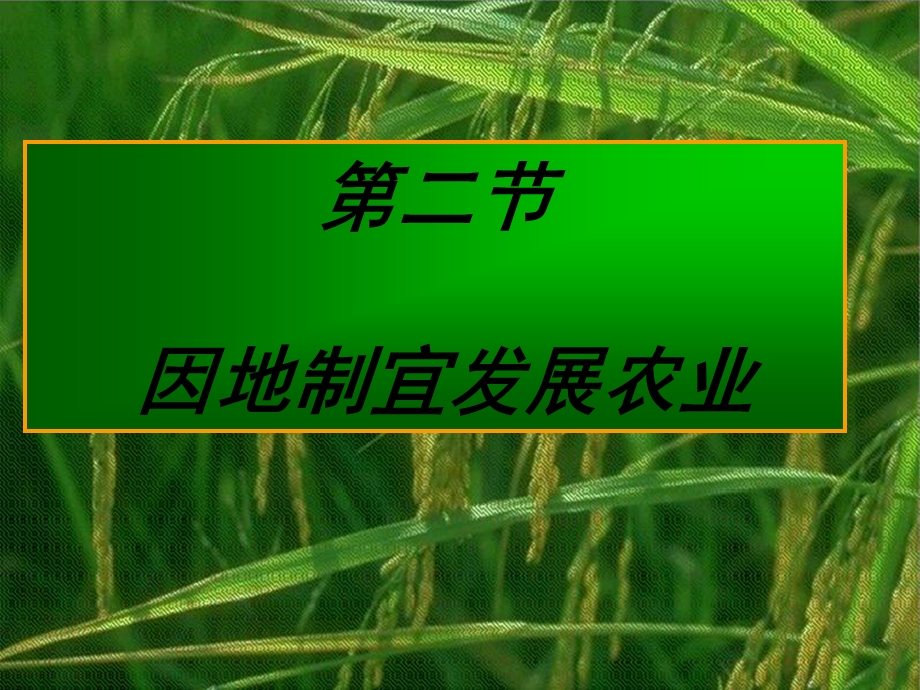 因地制宜发展农业-人教版课件.ppt_第1页