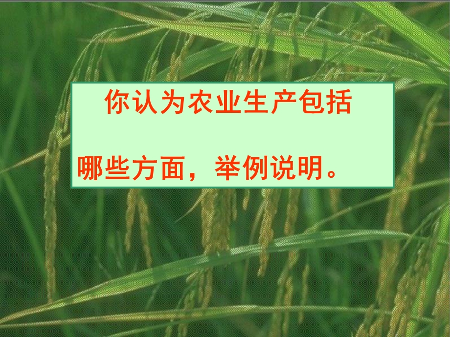 因地制宜发展农业-人教版课件.ppt_第2页