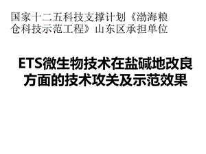 微生物技术在盐碱地改良方面的技术攻关及示范效果课件.pptx