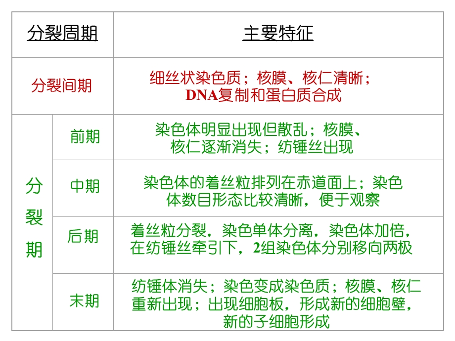 动植物细胞有丝分裂比较课件.ppt_第1页