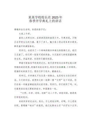 某某学校校长在2023年春季开学典礼上的讲话.docx