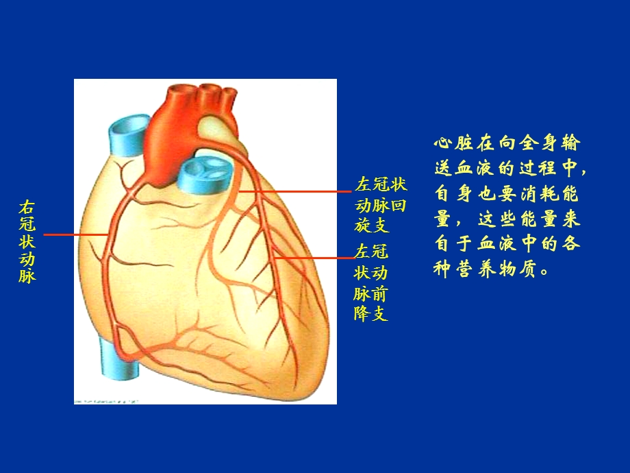 冠心病介入治疗进展课件.ppt_第2页