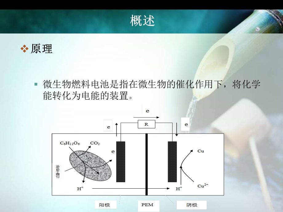 微生物燃料电池发电原理与效能第6章课件.ppt_第3页