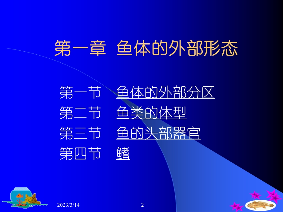 第一篇鱼类的形态构造课件.ppt_第2页