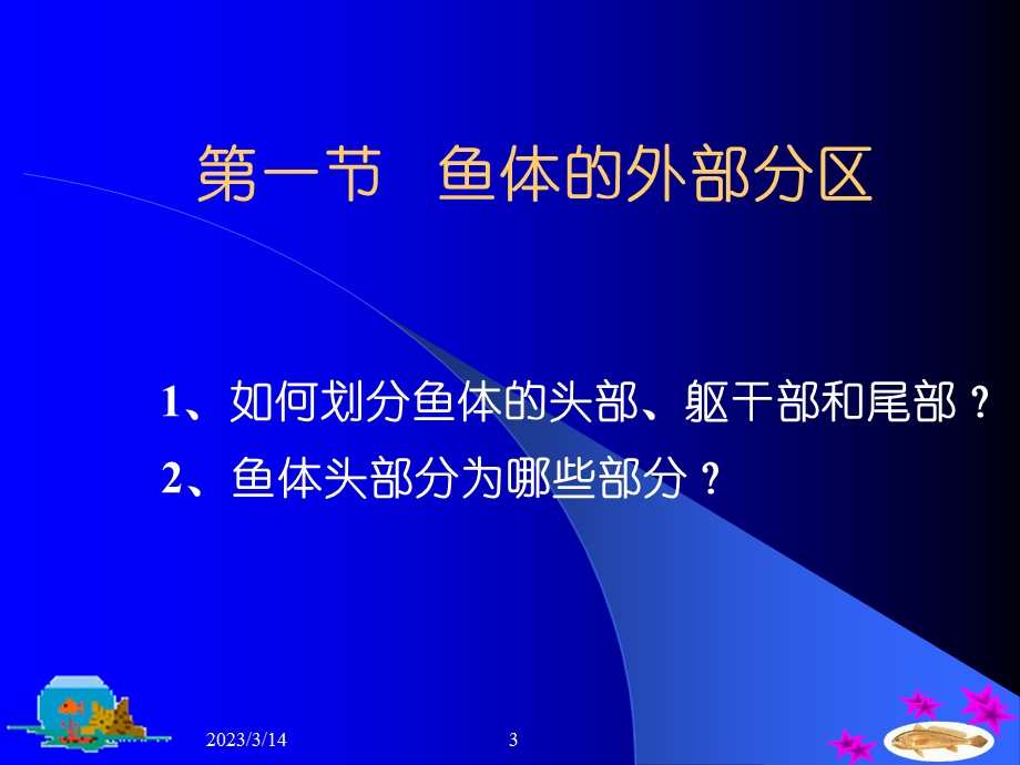 第一篇鱼类的形态构造课件.ppt_第3页