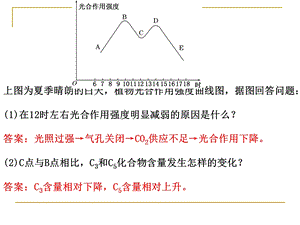 光合作用中的图形分析课件.ppt