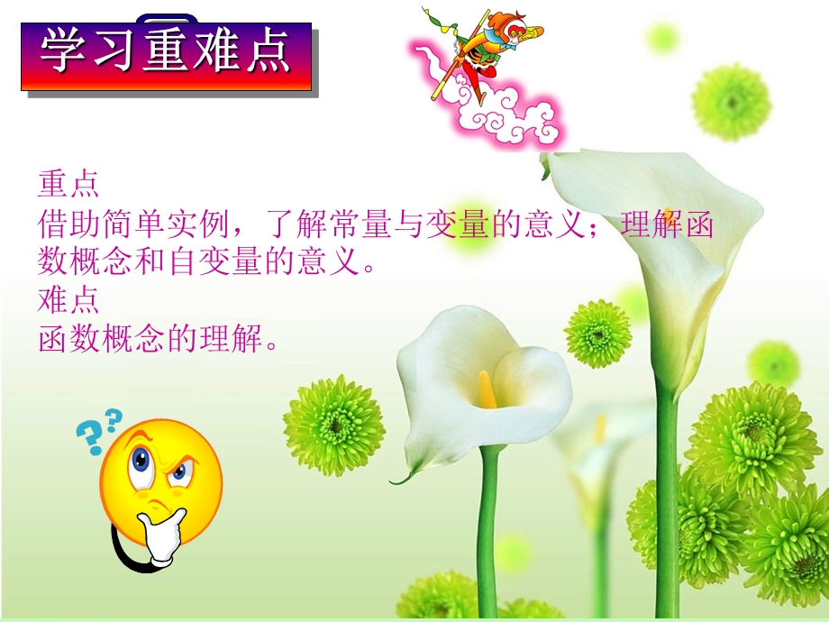 变量与函数-人教版课件.ppt_第3页