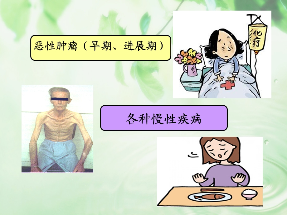 肿瘤恶液质营养治疗指南分析课件.ppt_第3页