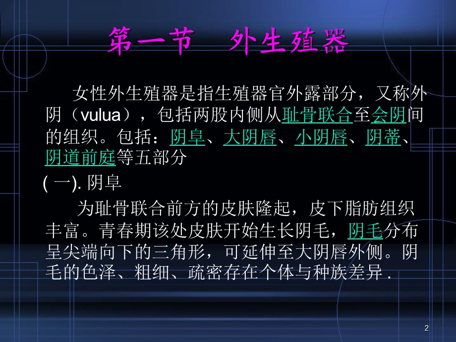 妇科知识课件.ppt_第2页