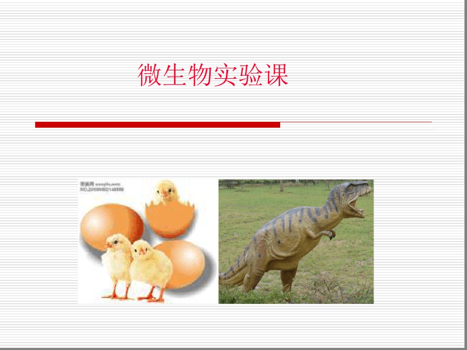 微生物实验课讲解课件.ppt_第1页