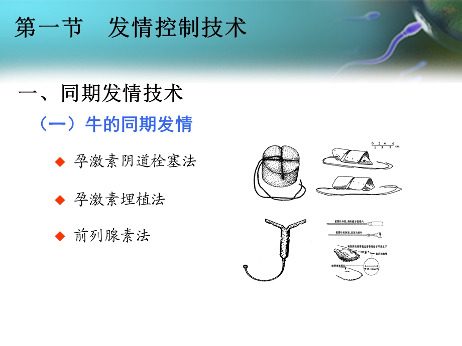 发情排卵及分娩的控制课件.ppt_第3页