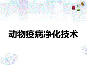 动物疫病净化技术课件.ppt