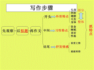 作文《菊花》-课件.ppt