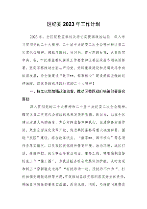 区纪委2023年工作计划.docx