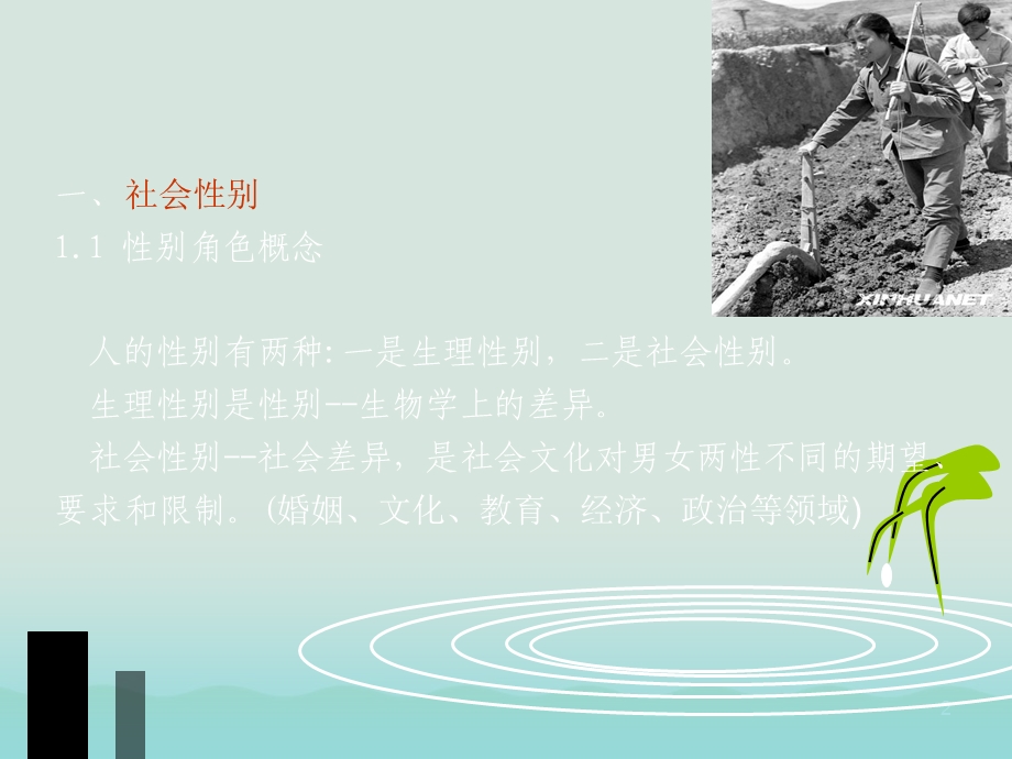 媒体与社会性别课件.ppt_第2页