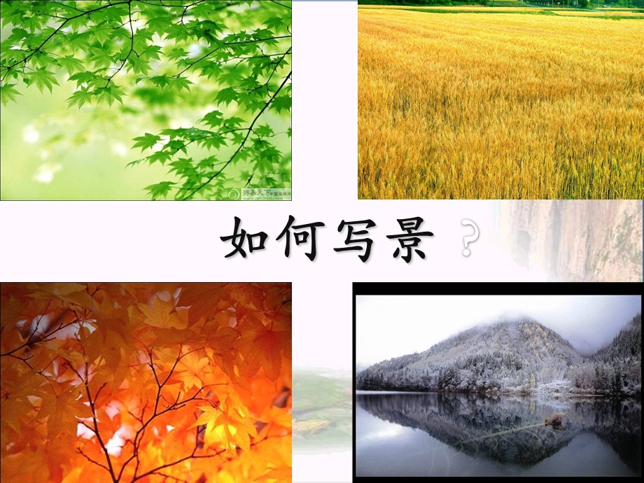 初中作文指导如何写景优秀ppt课件.ppt_第1页