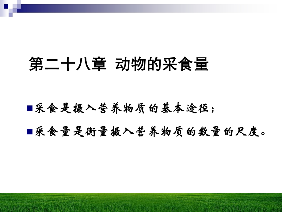 采食是摄入营养物质的基本途径;采食量是衡量摄入营养物质课件.ppt_第1页