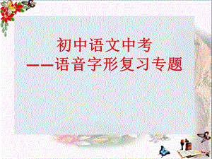 初中语文中考语音字形专题专题课件.ppt