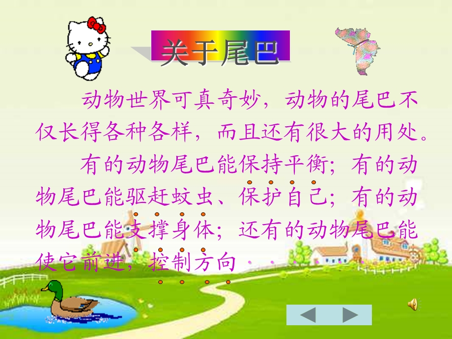 大班动物的秘密课件.ppt_第3页