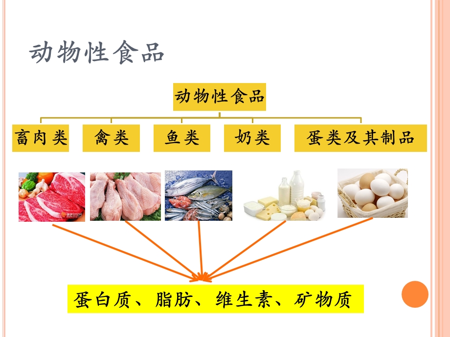 动物性食品课件.ppt_第2页