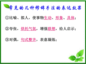 常见的几种修辞手法的表达效果课件.ppt