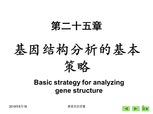 基因结构分析的基本策略课件.ppt