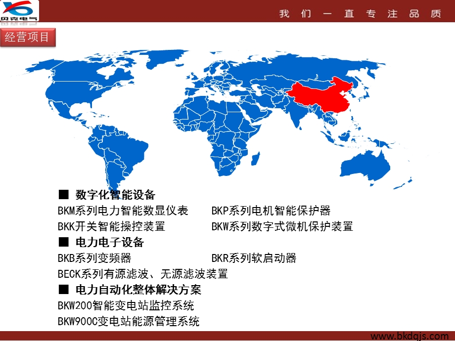 公司(企业)总体介绍-PPT模板课件.ppt_第3页