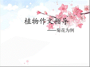 作文菊花作文ppt课件.ppt