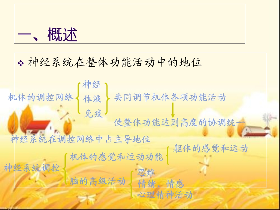 《生理学》神经系统.ppt_第2页