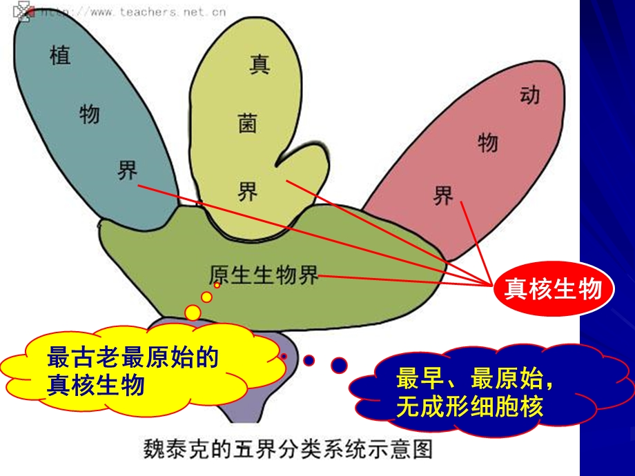 原生生物界课件-北京版.ppt_第1页