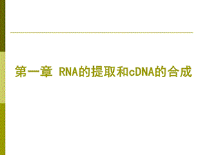 分子生物学实验技术课件.ppt