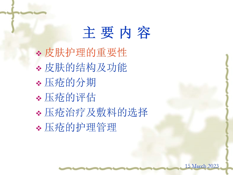 压疮治疗与护理课件.ppt_第2页