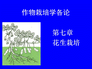 作物栽培学各论-花生栽培课件.ppt