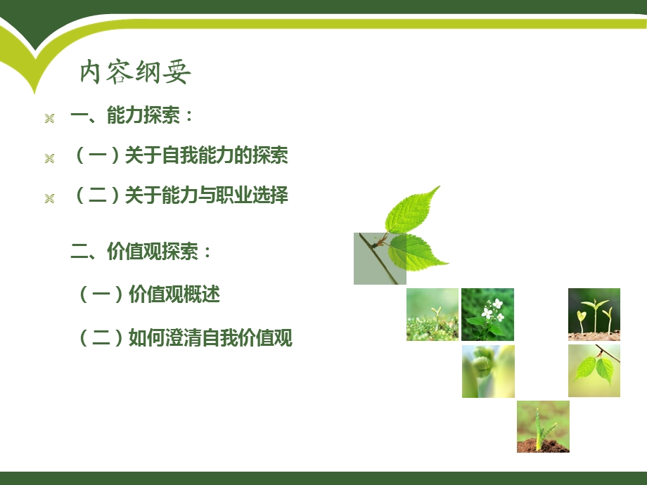 能力与价值观课件.ppt_第2页