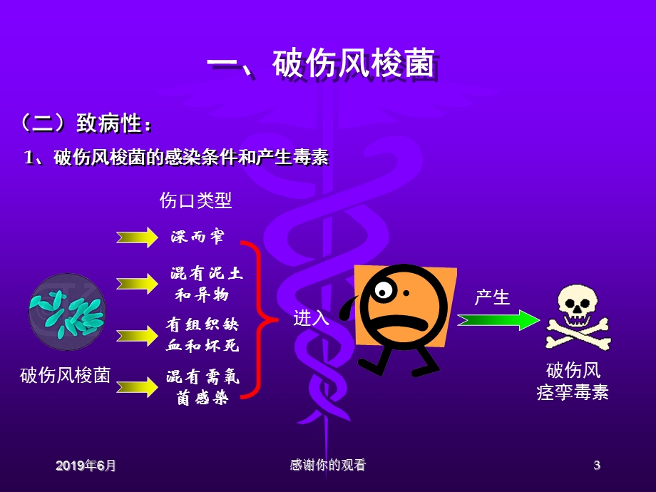 厌氧性细菌厌氧性细菌是一群必须在无氧条件下才能生长课件.pptx_第3页