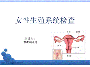 女性生殖系统检查课件.pptx