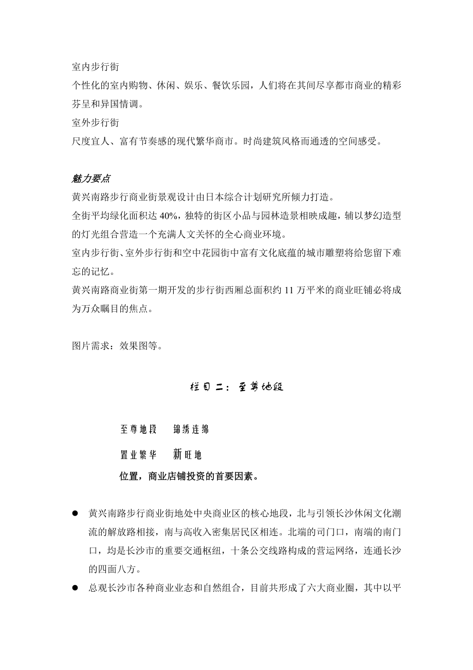 黄兴南路商业步行街网页宣传规划方案.doc_第2页