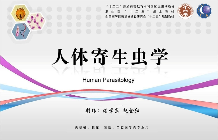 华支睾吸虫(肝吸虫)课件.ppt_第2页