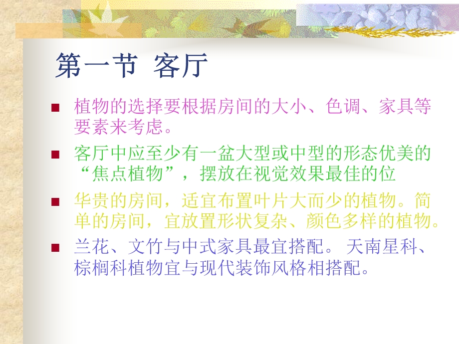 室内植物与景观课件.ppt_第2页