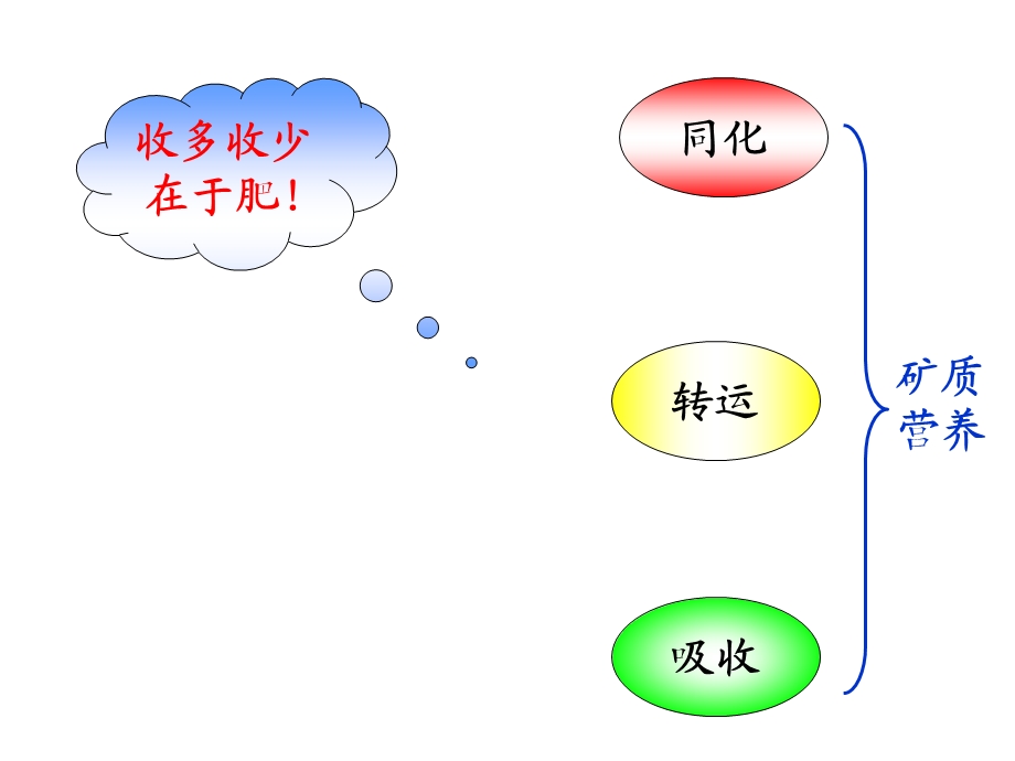 第三章植物的矿质营养课件.ppt_第1页