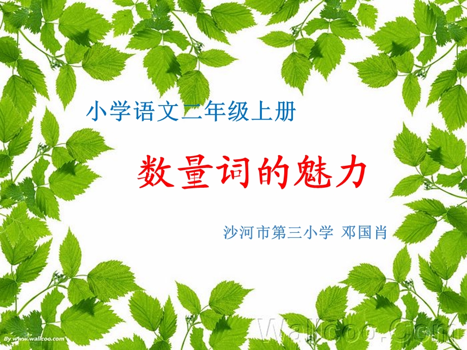 微课数量词的魅力课件.ppt_第1页