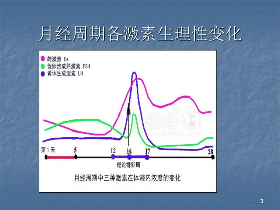 促排方案医学ppt课件.pptx_第3页