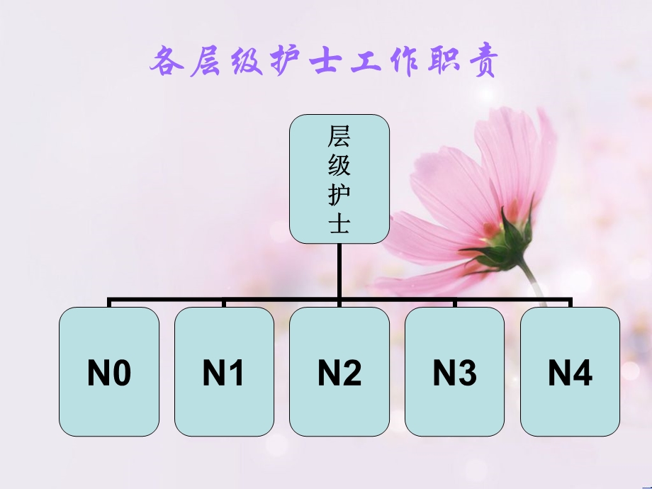 护理岗位职责方案课件.ppt_第2页